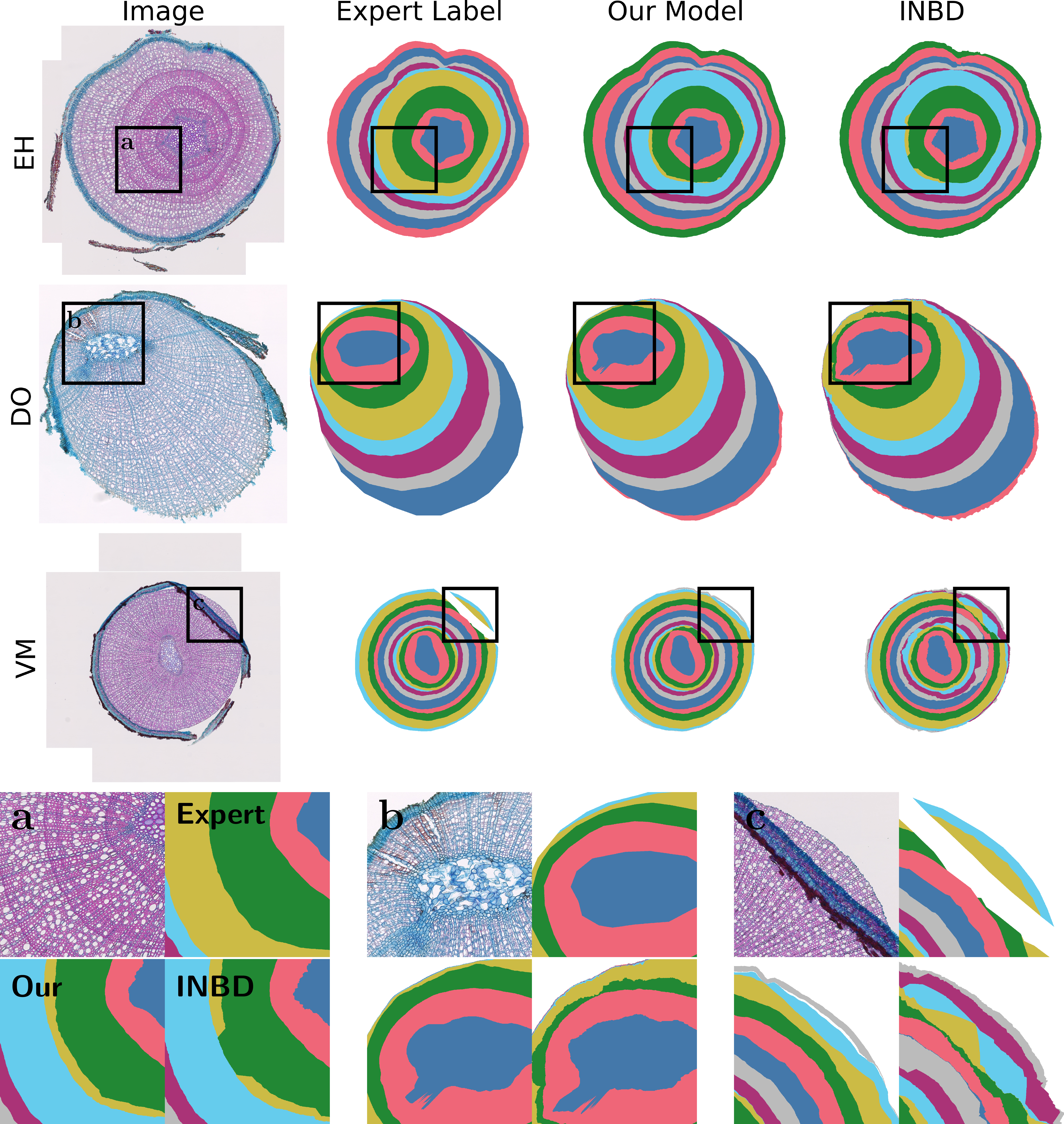 Exemplary improvement over INBD